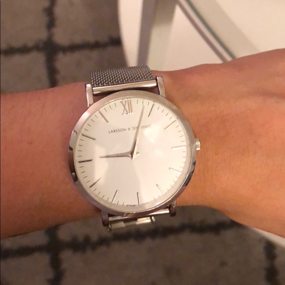 LARSON JENNINGS UNISEX MESH WATCH SILVER